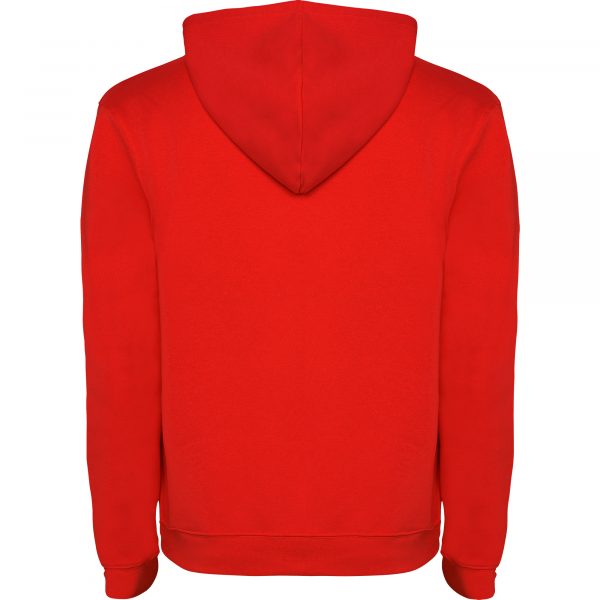 Sweat-shirt com capuz bicolor Urban Kids - Image 6