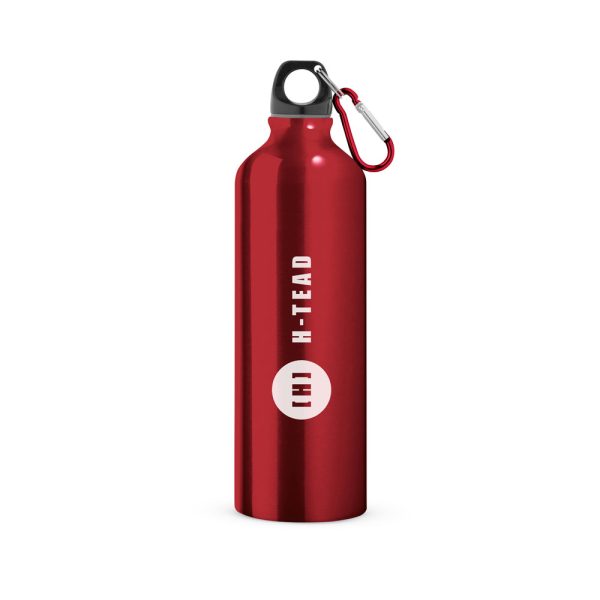 Garrafa com mosquetão Landscape L - Image 6